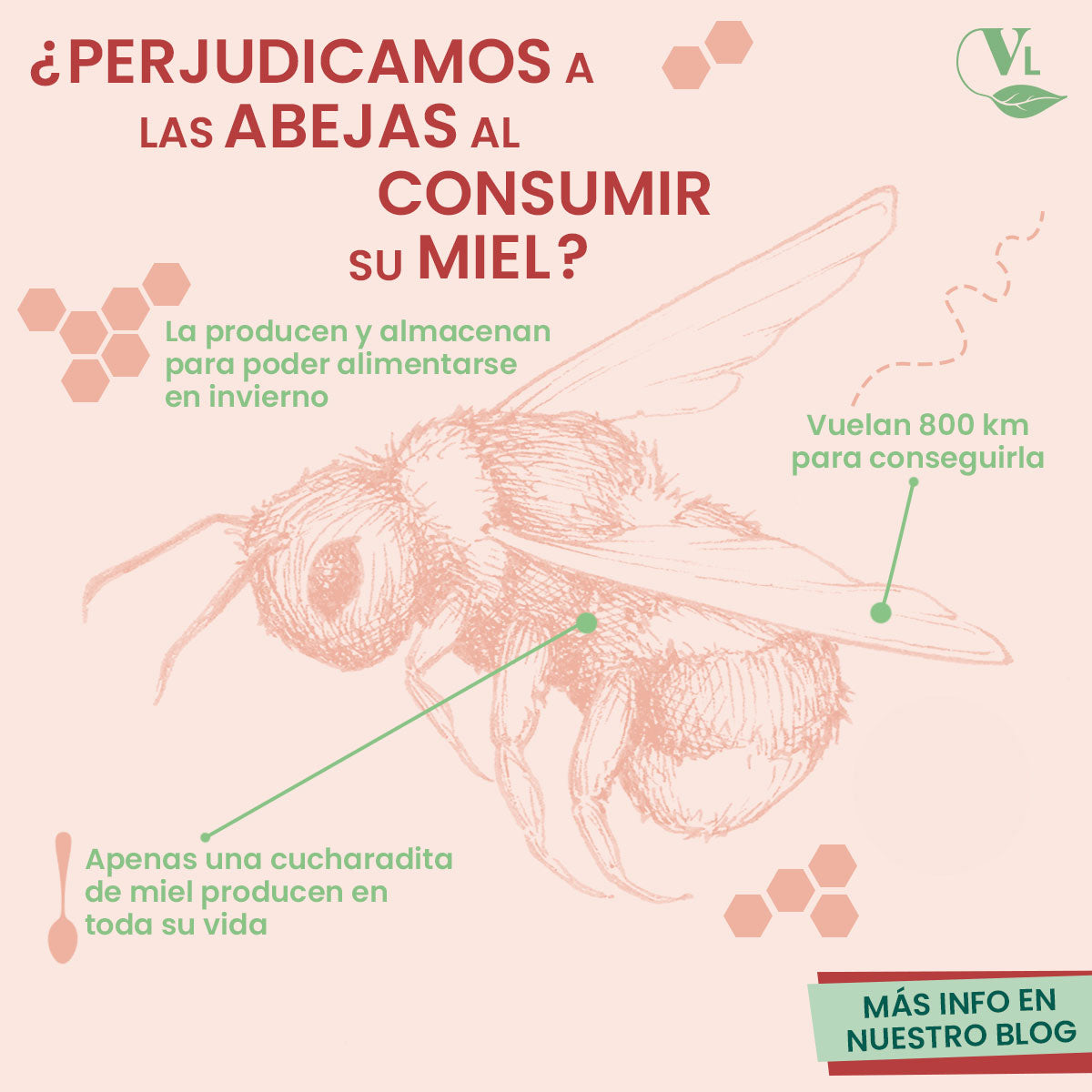 ¿La miel es un alimento que las abejas hacen para nosotros?