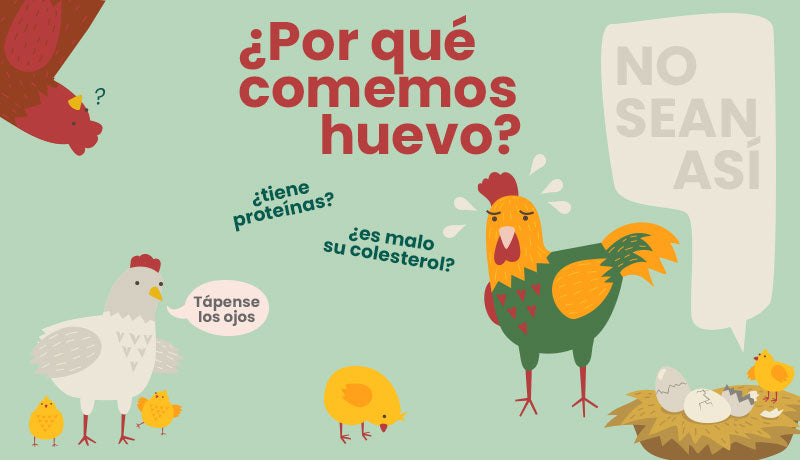 ¿Por qué comemos huevo?