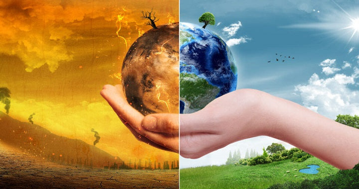 Reduciendo nuestro impacto ambiental – Vegan Label