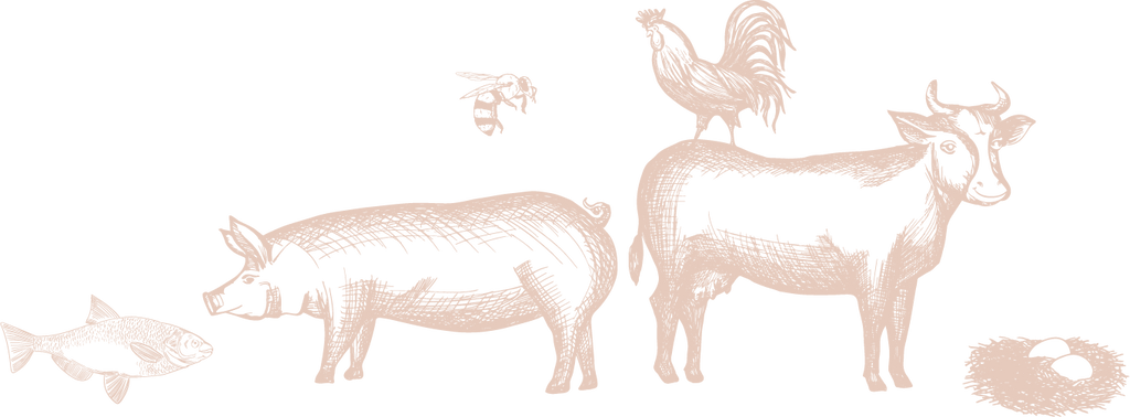 files/Asset_4_3x_cb3bda35-dd50-4c17-8572-f47bd797b217.png